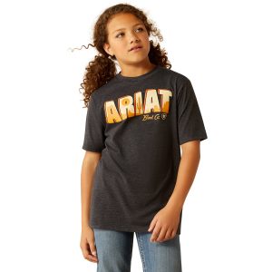 Ariat Postcard T-Shirt