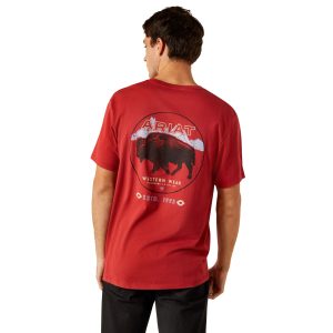 Ariat Patriot Buffalo Coin T-Shirt