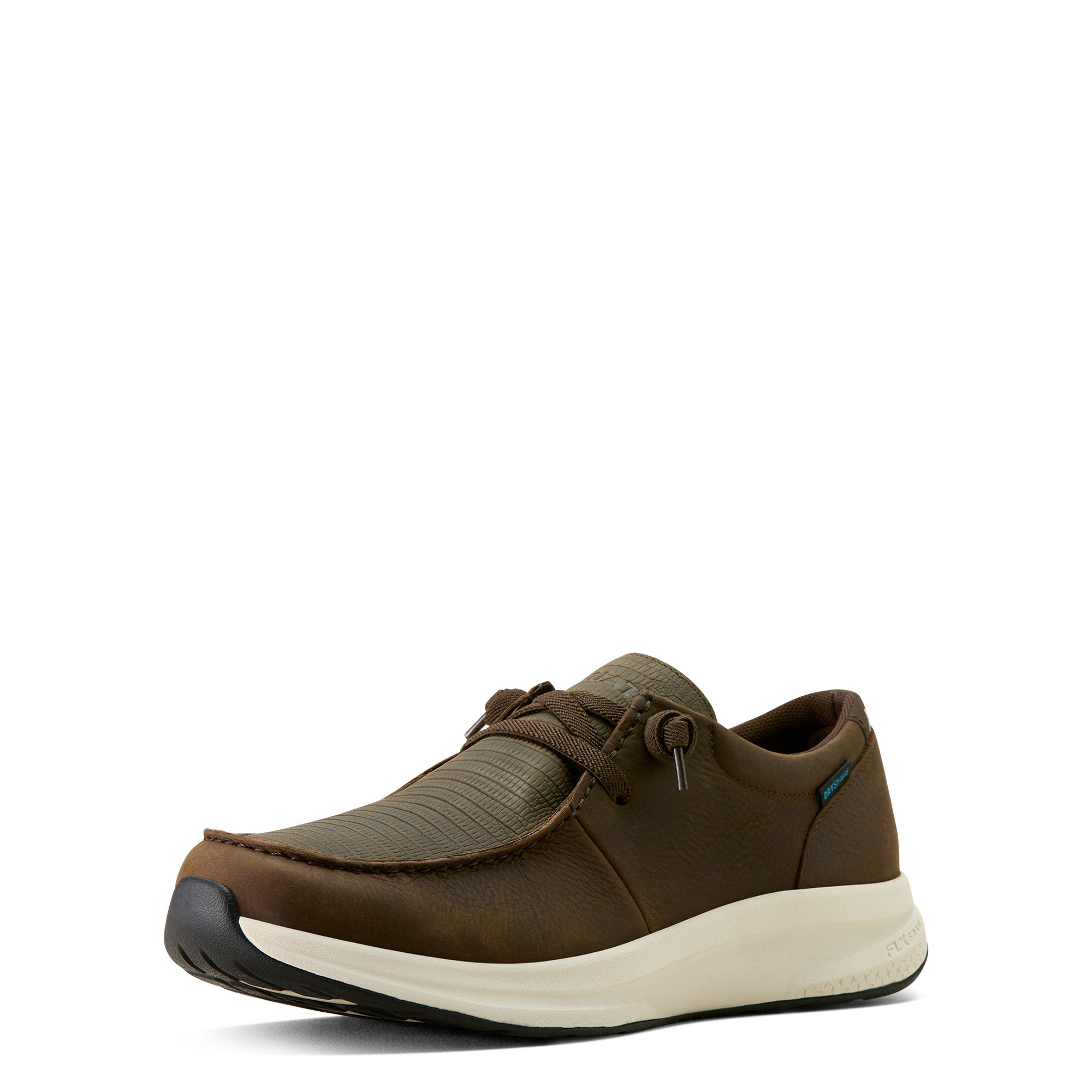 Buckeye Waterproof Shoe